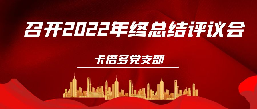 草莓视频软件下载党支部召开2022年终总结评议会